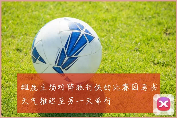 雄鹿主场对阵独行侠的比赛因恶劣天气推迟至另一天举行